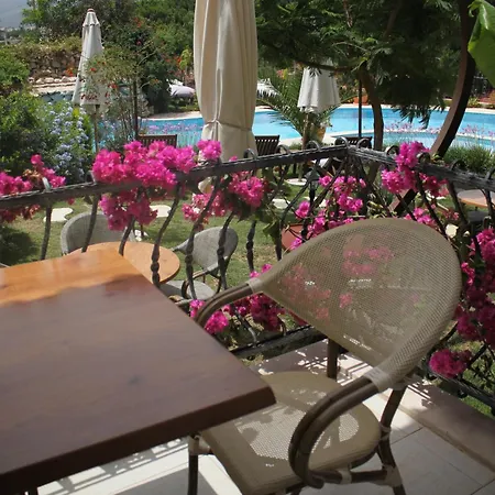 住宿加早餐酒店 Dolina